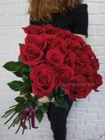 Фото Акция! 25 красных роз Эквадор 80 см