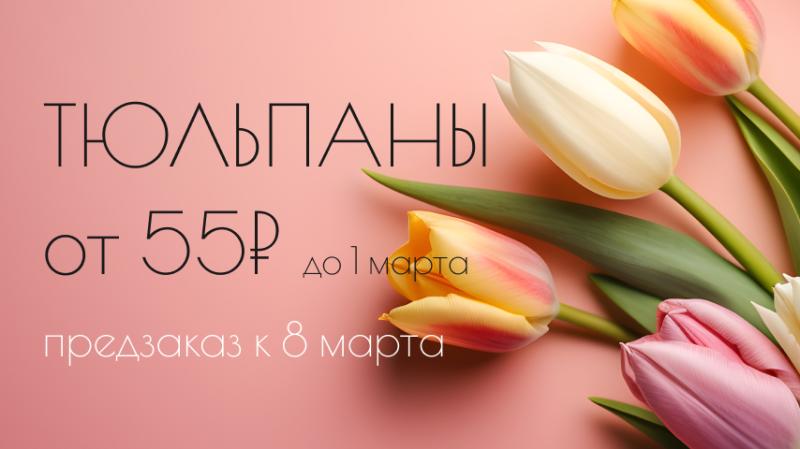 Предзаказ тюльпанов 2026 