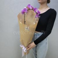 Орхидея фаленопсис с доставкой в Челябинске 