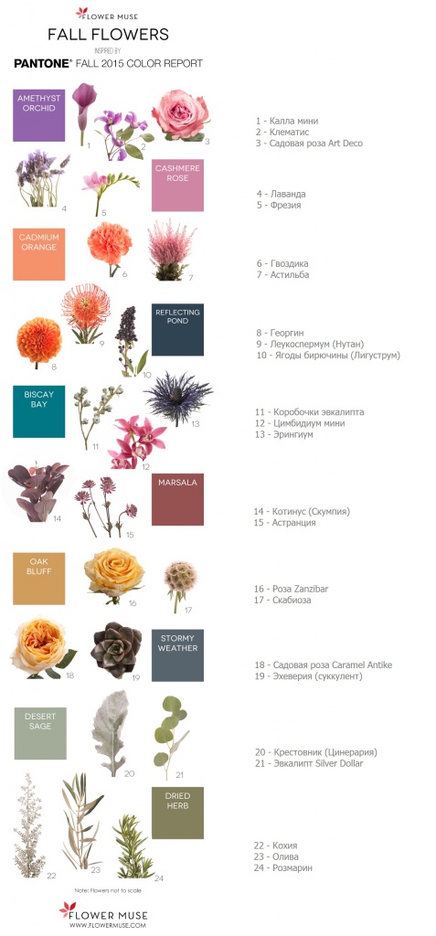Подборка осенних цветов в палитре Pantone осени'2015