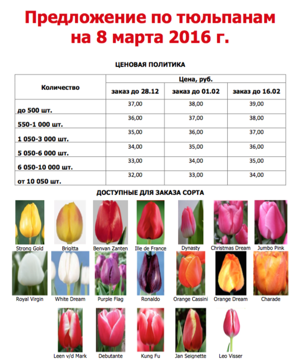 тюльпаны 18.01.2016.png тюльпаны 18.01.2016.png
