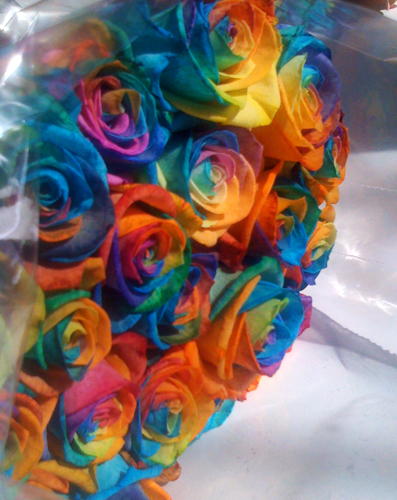 радужные розы rainbow_rose.jpg