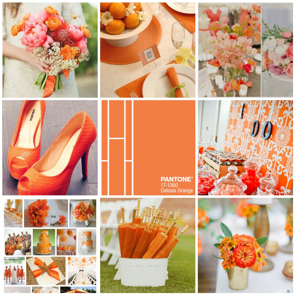 Оформление свадьбы в оранжевом цвете