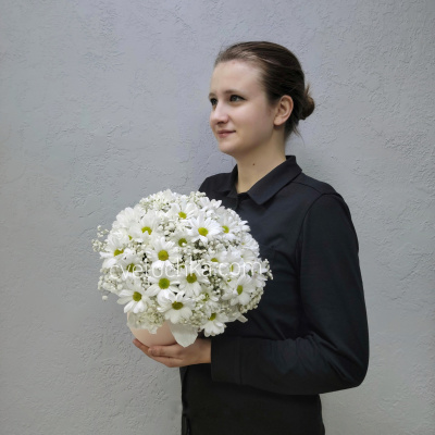 "Бэлль" шляпная коробка с кустовыми хризантемами и гипсофилой