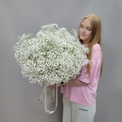Букет из 25 белых гипсофил