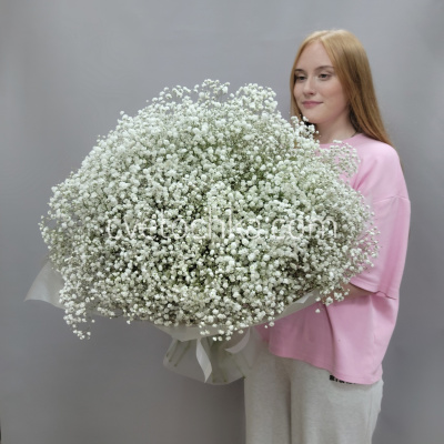 Букет из 51 белой гипсофилы