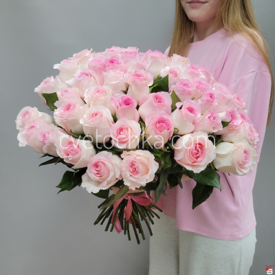 Букет из 51 нежно-розовой розы Эквадор 50 см с доставкой в Челябинске 