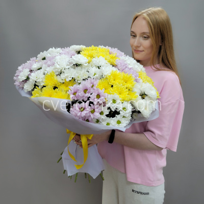Букет из 25 кустовых хризантем микс
