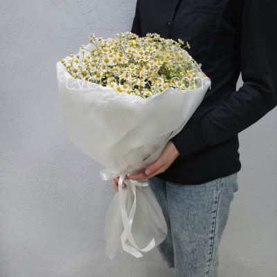Акция! 15 ромашек