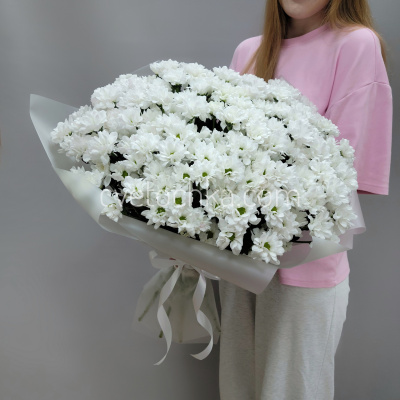 Букет из 25 белых ромашковых кустовых хризантем