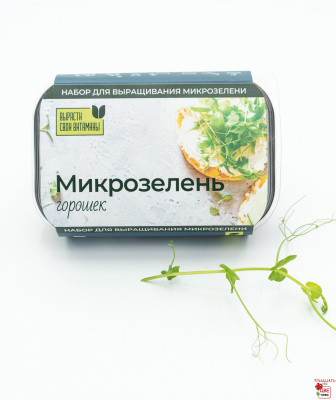 Микрозелень горошек купить в Челябинске и Магнитогорске