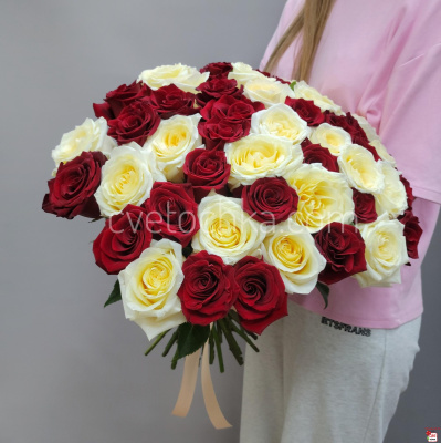 Букет из 51 розы Эквадор 50 см микс бордовых и сливочных с доставкой в Челябинске 