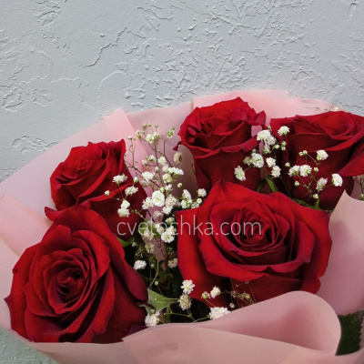 Бордовые розы 60 см с гипсофилой