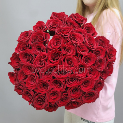 Букет из 51 бордовой розы Эквадор 60 см