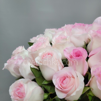 Букет из 51 нежно-розовой розы Эквадор 50 см