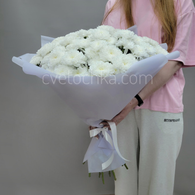 15 белых махровых кустовых хризантем