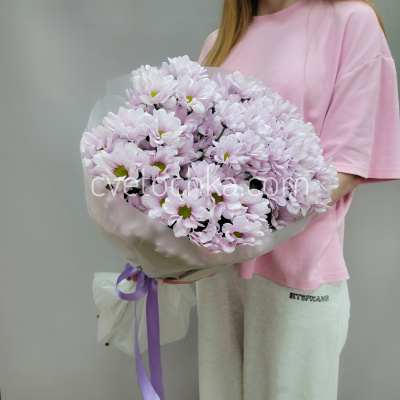 Букет из 7 кустовых хризантем. Цвет на выбор