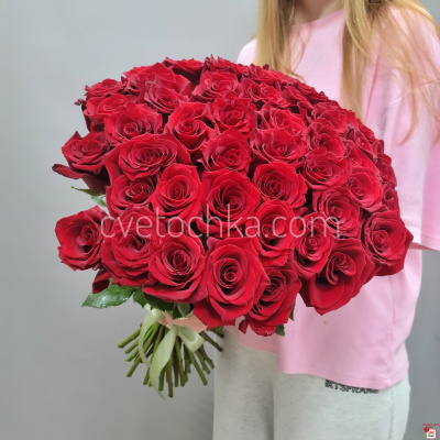 Букет из 51 бордовой розы Эквадор 60 см