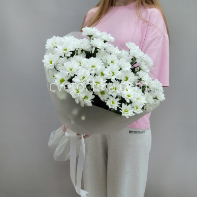 Букет из 7 кустовых хризантем. Цвет на выбор