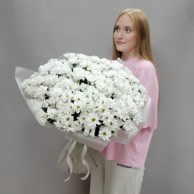 Букет из 25 белых ромашковых кустовых хризантем
