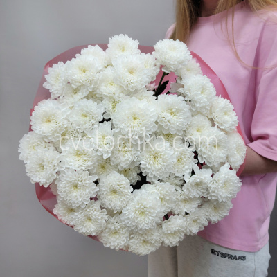 Букет из 11 белых махровых кустовых хризантем