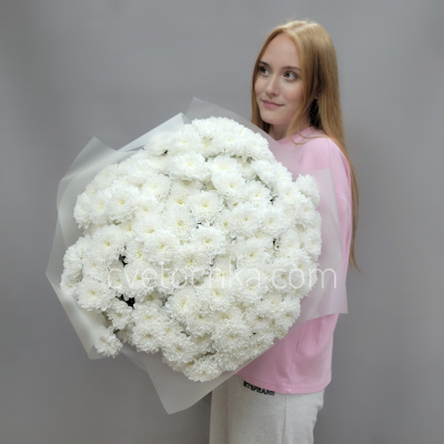 Букет из 25 белых махровых кустовых хризантем