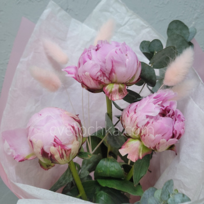 Букет-комплимент из пионов