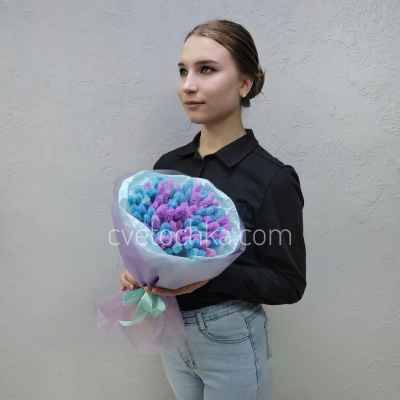 Букет сухоцветов с фалярисом №19. Цвет на выбор