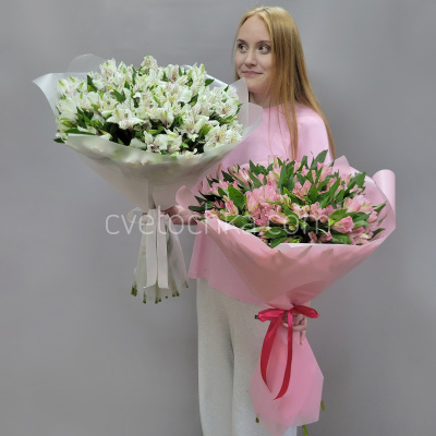 Акция! 25 альстромерий. Цвет на выбор