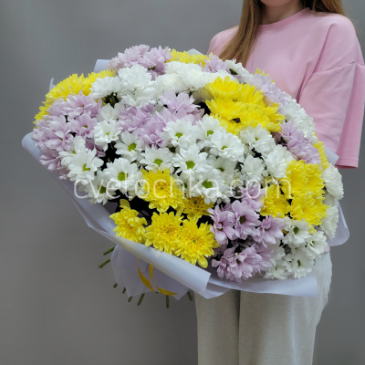 Букет из 25 кустовых хризантем микс
