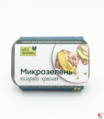 Микрозелень кольраби купить в Челябинске и Магнитогорске