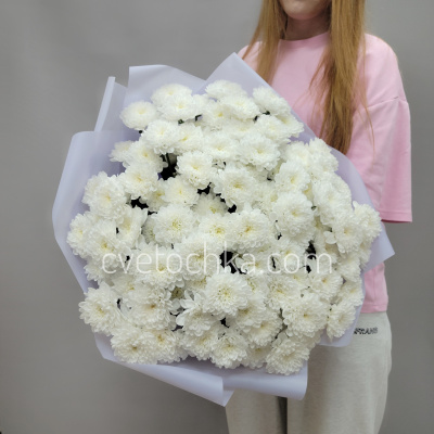 15 белых махровых кустовых хризантем