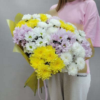 15 кустовых хризантем микс