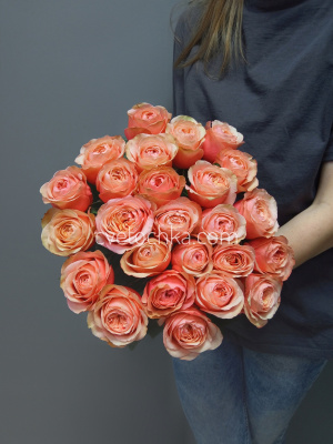 Акция! 25 пионовидных роз Эквадор 50 см