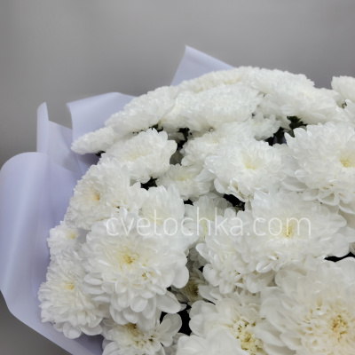 15 белых махровых кустовых хризантем