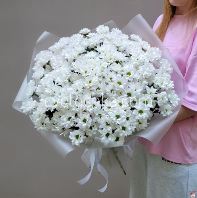 Букет из 25 белых ромашковых кустовых хризантем с доставкой в Челябинске