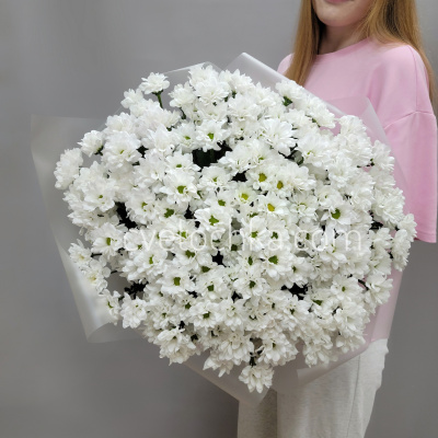 Букет из 25 белых ромашковых кустовых хризантем